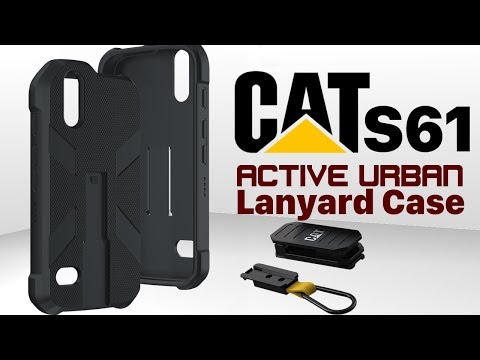 download lagu mp3 mp4 Cat Case, download lagu Cat Case gratis, unduh video klip Cat Case