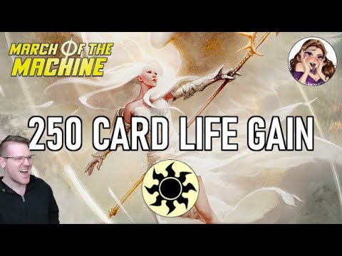 250 Card S-Tier Perfect Life Gain | MTG Historic