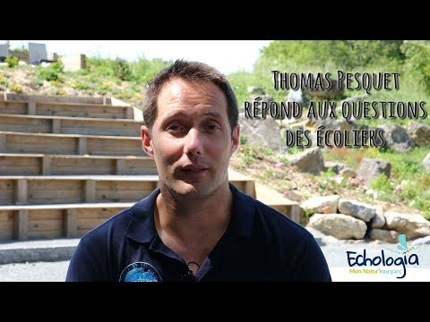 Thomas Pesquet répond aux questions des écoliers sur Echologia le 28 juin 2019