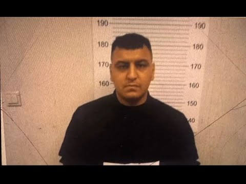 SEYDA PERİNÇEK ÇEMO ÇEMO (DLT34)