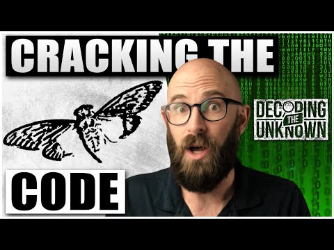 Cicada 3301: The Internet's Weirdest Mystery