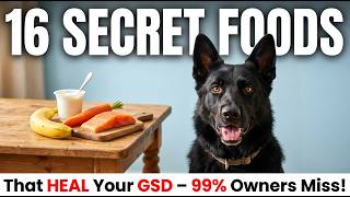 16 Human Foods That Fix Almost Everything in GSD's | 99% of 