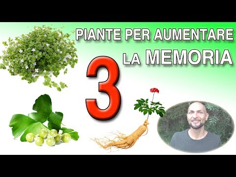 Come aumentare rapidamente il membro con lesercizio fisico Strumenti per aumentare rapidamente la potenza negli uomini
