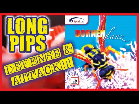 Spinlord Dornenglanz defense & attack - Defensa y ataque picos largos