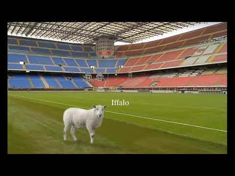 Marcilo Agro FC - Iffalo