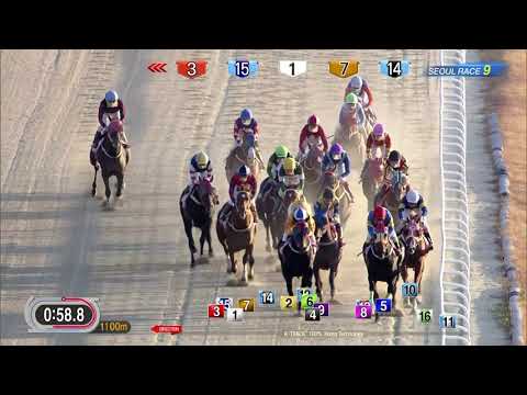 181104 Seoul R9 2000m