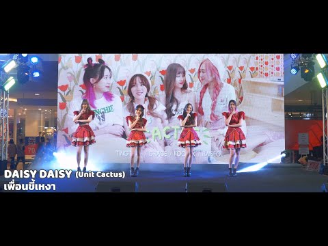 DAISY DAISY (Unit Cactus) - เพื่อนขี้เหงา @ The Mall​ Asian​ Festival​ 2022 | 220410