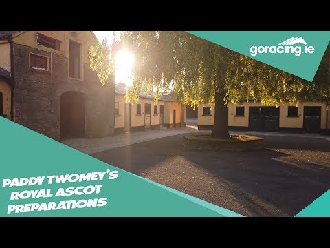 Paddy Twomey's Royal Ascot Preparations