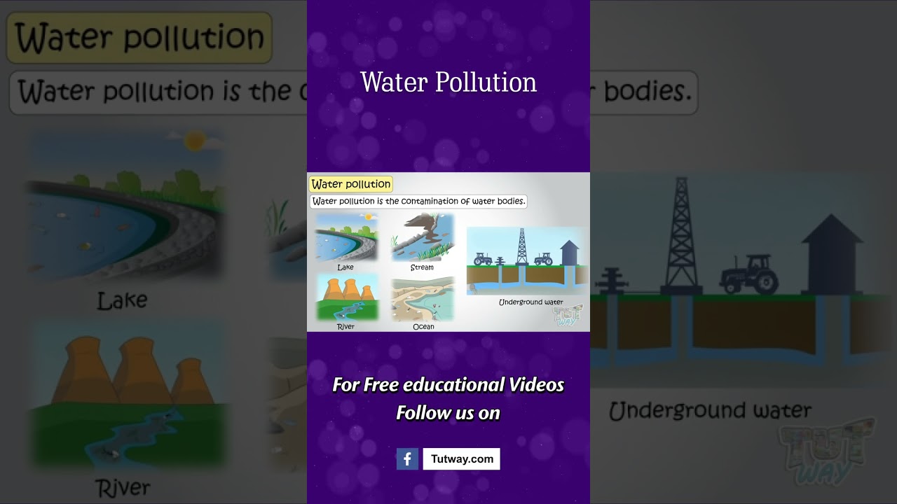 What is Water Pollution? | Sources of Water Pollution | Environmental Science | Science #shorts