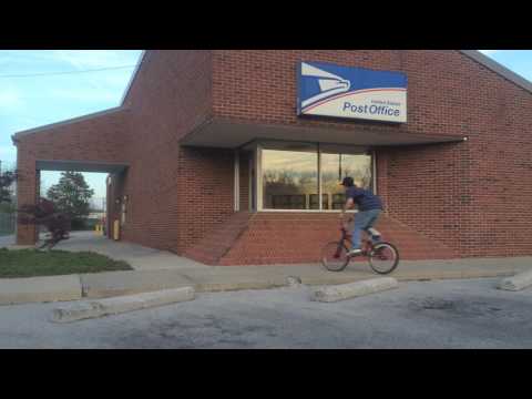 Steven Hamilton - Gardenhead