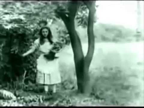 Gunjah & Niconé - Disko 91