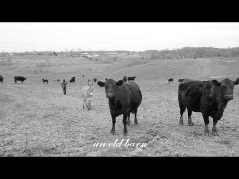 An Old Barn (Short Film)