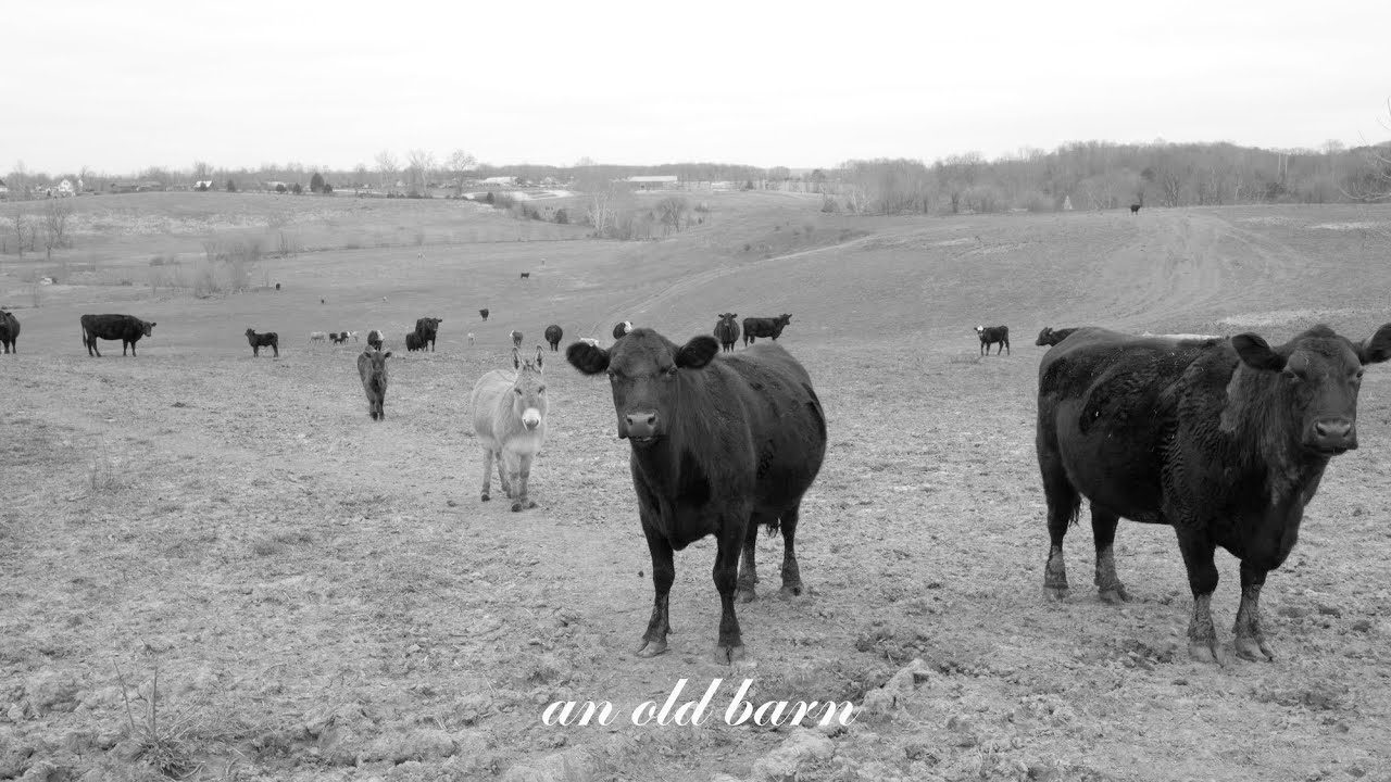 An Old Barn (Short Film)
