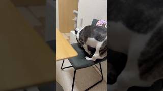 落ちそうで落ちないフレブル