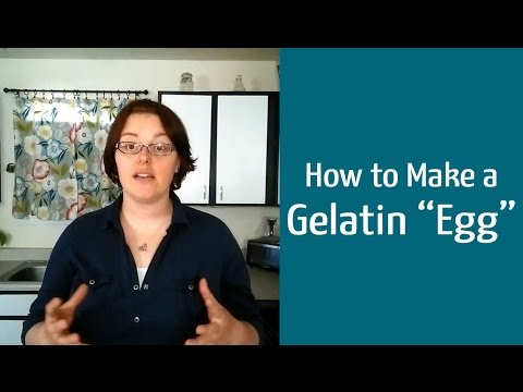 download lagu mp3 mp4 Gelatin Egg Replacement, download lagu Gelatin Egg Replacement gratis, unduh video klip Gelatin Egg Replacement