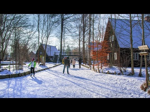 Eislaufen im Spreewald