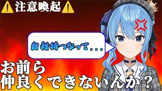 フェス後にエゴサをしファン同士が言い合い…「仲良くできないんか？」と自我を持つ星詠みたちに苦言【ホロライブ/Vtuber/星街すいせい】
