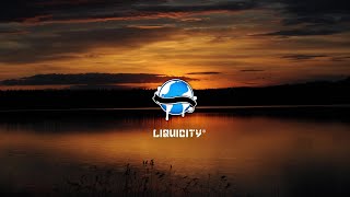 Camo &amp; Krooked - Dissolve Me (feat. Klei)