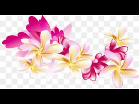 BUNGA TELUR NASI MINYAK - ALI G & TARMINAH