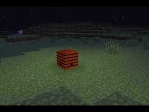Bee Basics FTB