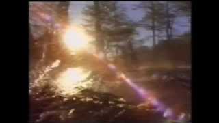 R.E.M. - I Remember California (Satellite Presentation Video)