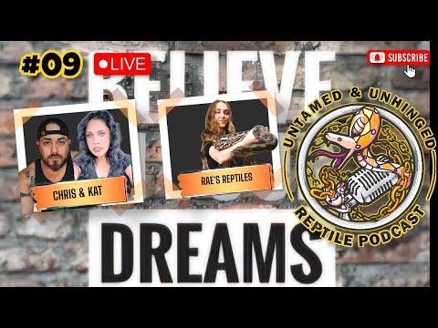 BEYOND BOUNDARIES W/RAE'S REPTILES | VIBES UP PODCAST EP #09