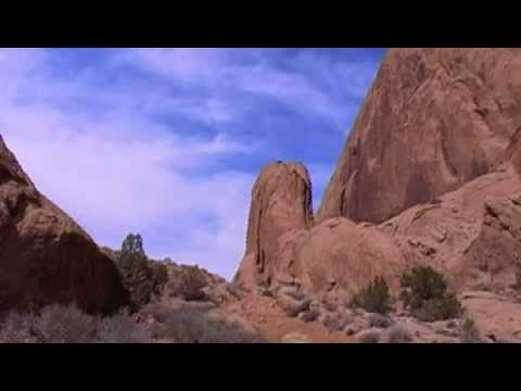 Jayce Allisson Karl - Canyon Bear