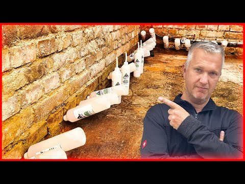 2 Wochen Keller-Trockenlegung: Erste Ergebnisse!