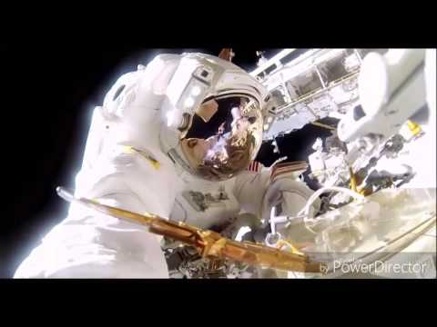 Spaceships and Rockets - Taylor Mosley - Angerwolf