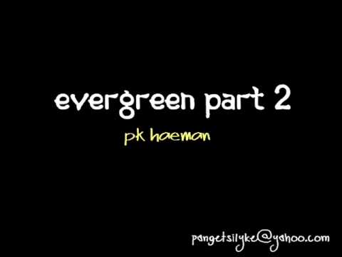 Pk Haeman - Evergreen part 2