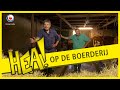 HEA! Broer en zus op de boerderij