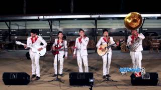 No Era La Perfecta (En Vivo) Lyrics English Translation