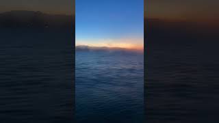 🚢 Travelogue- arriving in Malaga at dawn #malaga #spain #cruise #dawn