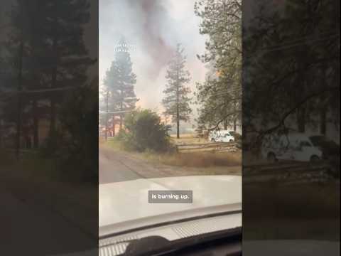 Eyewitness video shows wildfire-ravaged British Columbia