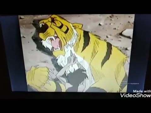 Shere Khan - Time of Dying/Three Days Grace