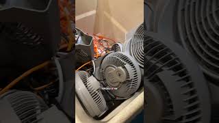 🛳️30 Cruise Mistakes: #17: No Debarkation Inspection