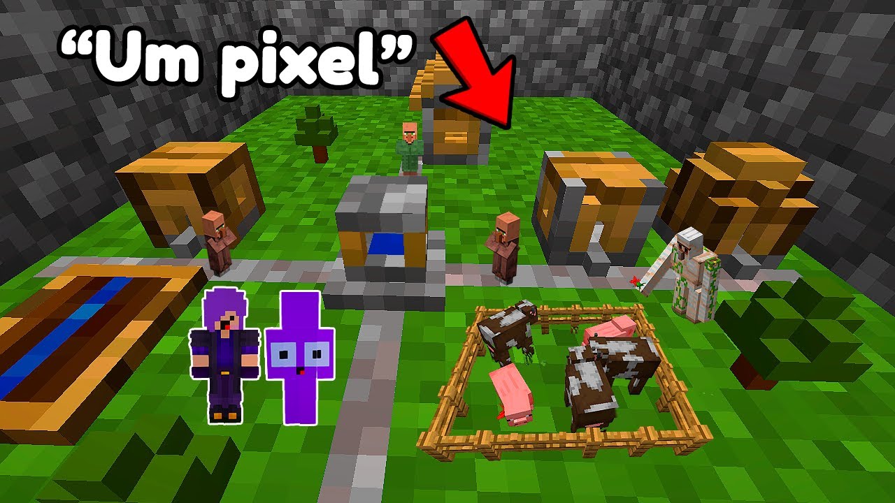 ESSA É A MENOR VILA DO MINECRAFT!!!