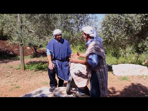 Brot aus dem 1. Jahrhundert