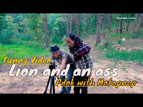 lion and an ass pdok with matapnep funny video