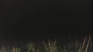 Department of Eagles - Not For Long (Live on KCRW 2009)