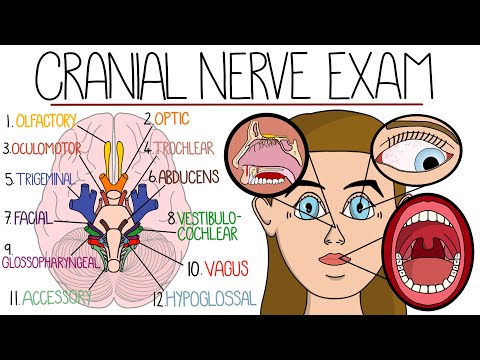 Seizures Seizure Types Generalized vs Focal Seizures Causes of Seizures Mnemonic