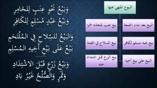 صورة النظم الجلي في الفقه الحنبلي140- شرح/ عامر بهجت (البيوع المنهي عنها)