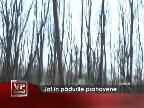 Jaf in padurile prahovene