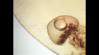  Křídový jantar B-260