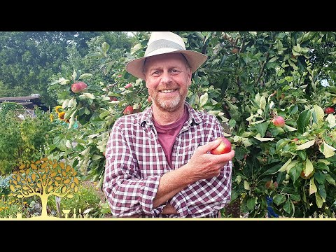 Gardeners’ World 2025 Ep27 | Monty Don’s Autumn Planting & Inspiring Community Gardens 🌿🌸
