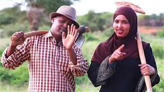 Xuquuqda: Bulsho News