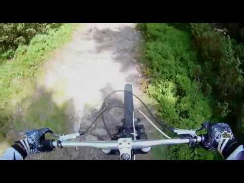 Paltinis Tomnatec trails