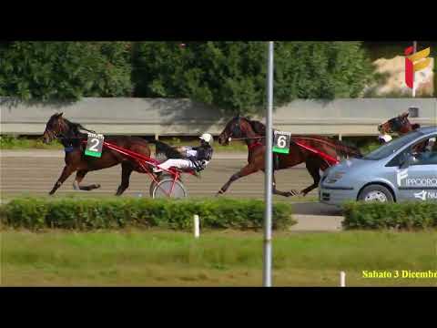 I Corsa del 3 dicembre 2022 - 5 Anni ed oltre - Metri 2000 - Aspiranti allievi