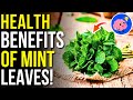8 Benefits of Mint Leaves You Should Know! | Mint Leaves Benefits