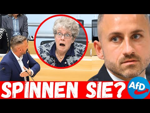 Suddenly, Ulrich Siegmund (AfD) turns to the PRESIDENT: ARE YOU REASONABLE?